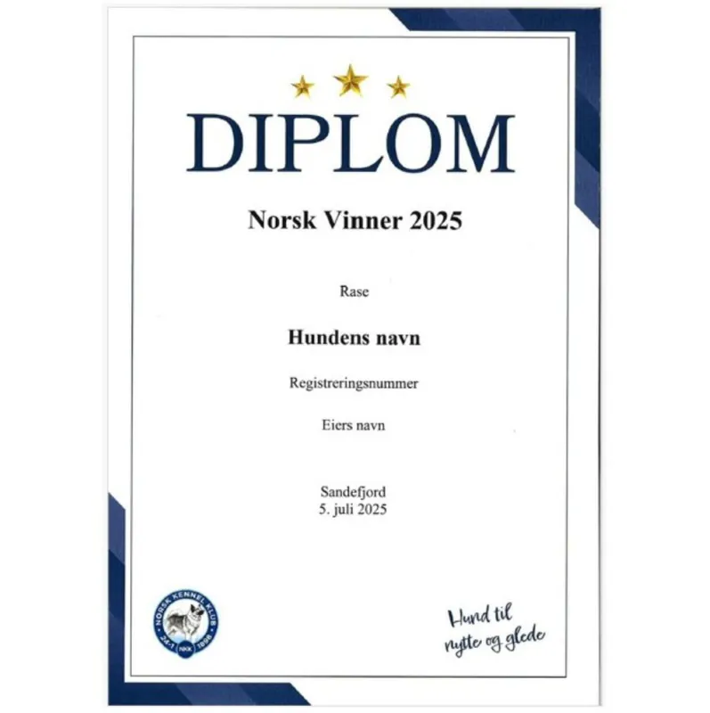 Diplom Norsk Vinner 2025 (Sendes i posten)