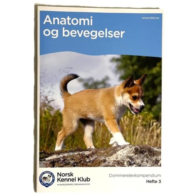 Hovedbilde Dommerelev-kompendium 3. Varen er ventet inn på ...