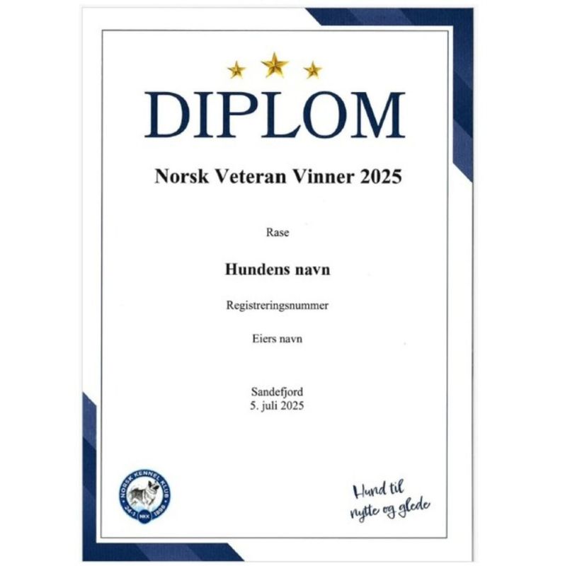 Diplom Norsk Veteran Vinner 2025 (Sendes i posten)