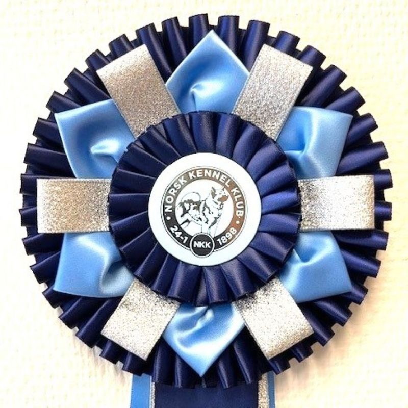 Norsk vinner rosette