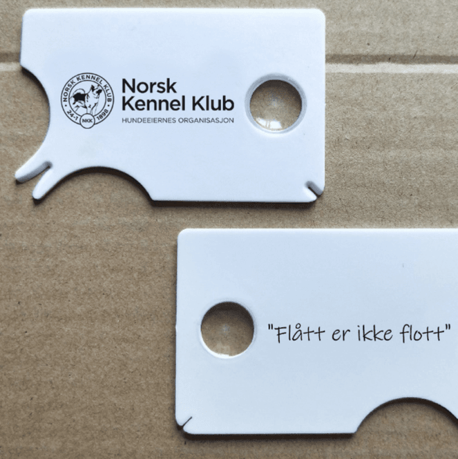 Hovedbilde Flåttkort