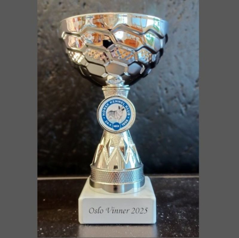 Pokal Oslo Vinner 2025
