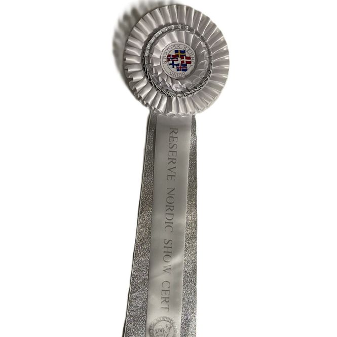 Hovedbilde Reserve nordic show cert rosett